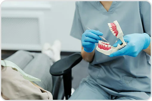Dentista explicando el procedimiento de limpieza dental con un modelo anatómico en consultorio de Coyoacán CDMX